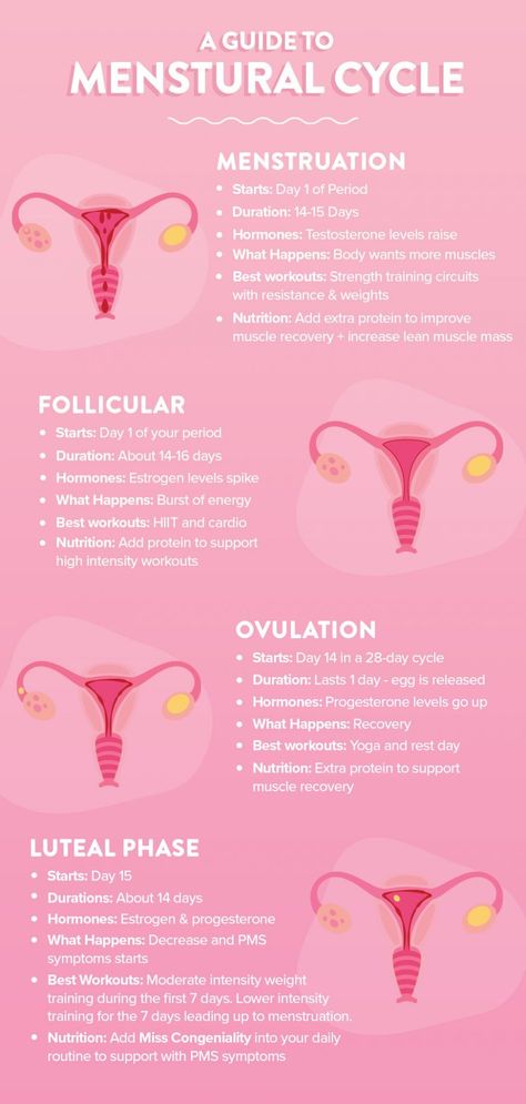 Menstrual Cycle Chart, Cycle Infographic, Wellness Infographic, Cycle Health, Menstrual Cycle Phases, Menstruation Cycle, Love Sweat Fitness, Period Cycle, Progesterone Levels