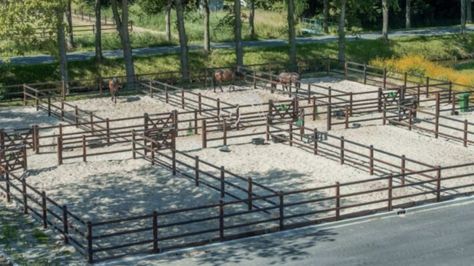 Horse Farm Layout, Barn Layout, Horse Farm Ideas, Horse Barn Ideas Stables, Paddock Paradise, Dream Horse Barns, Horse Barn Plans, Horse Facility, Farm Plans