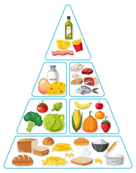 Food Pyramid Drawing, Food Pyramid Project, Food Group Pyramid, Pyramid Illustration, Pyramid Food, Food Pyramid Kids, Healthy Eating Pyramid, Food Pyramid, Vector Food