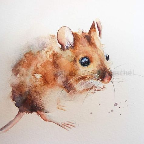 Field Mouse, Let's Make Art, Animal Illustration Art, Watercolour Inspiration, Watercolor Projects, Watercolor Painting Techniques, Big Art, Watercolor Sketch, Watercolor Inspiration