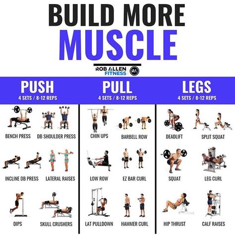 💥Build More Muscle💥 . For more fitness/nutrition info follow @roballenfitness 💪🏼 . The ever so famous Push/Pull/Legs split. It’s a great… Push Pull Legs Workout, Split Workout Routine, Push Pull Workout, Fitness Studio Training, Push Pull Legs, Push Workout, Gym Antrenmanları, Muscle Abdominal, Workout Splits