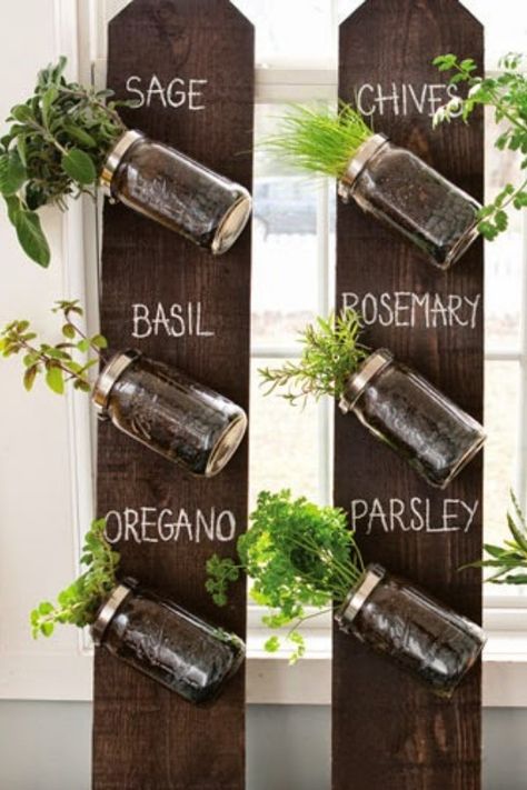 Jar Herb Garden, Indoor Herbs, Hanging File Organizer, Mason Jar Herb Garden, Vertical Vegetable Garden, Vertical Herb Garden, Galvanized Pipe, Fountain Pump, The Bad Seed