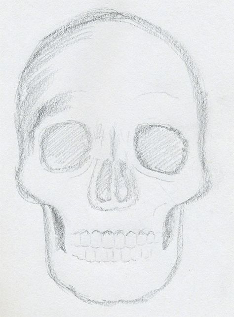 what+to+draw | click the image to enlarge Easy Skull Drawings, Easy Pencil Drawings, Skull Sketch, Pencil Sketch Drawing, Art Sketches Doodles, Skulls Drawing, Cool Pencil Drawings, Art Sketches Pencil, Things To Draw