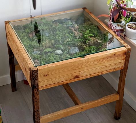 DIY Terrarium Moss Garden Coffee Table: Building a terrarium coffee table - Terrarium Creations Diy Plant Coffee Table, Terrarium Table Diy, Terrarium Diy Kids, Terrarium Coffee Table, Table Terrarium, Blooming Table, Build Your Own Terrarium, Terrarium Table, Shadow Box Table