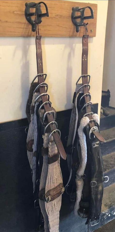 Bridle Hangers Tack Rooms, Horse Tack Rooms, Tack Rooms, Dream Barn, Tack Room, Horse Girl, Horse Tack, Hangers, Decor Inspiration