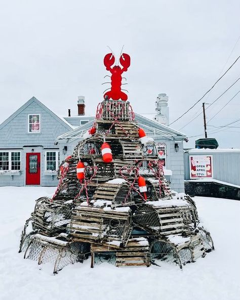 Maine Christmas, Pot Tree, New England Christmas, York Maine, Potted Christmas Trees, Potted Trees, Vintage Nautical, Christmas Window, Winter Wonder