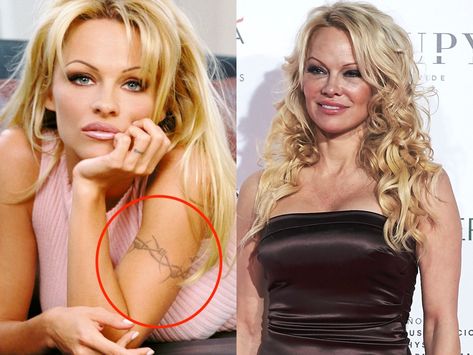 Bob Wire Tattoos Around Arm, Pamela Anderson Tattoo, Celebrities With Tattoos, Celeb Tattoos, Celeb Tattoos Women, Big Cover Up Tattoos For Women, Celebrity Tattoos Women, Cover Up Tattoos For Women, Winona Forever