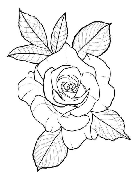 Rose Tattoo Drawing Design, Red Rose Wrist Tattoo, Tudor Rose Drawing, Flower Tattoo Stencils Outline Design, Rosa Tattoo Designs, Rose Flower Drawing Design, Rose Tattoo Stencil Outline, Rose Flash Tattoo, Rose Stencil Tattoo