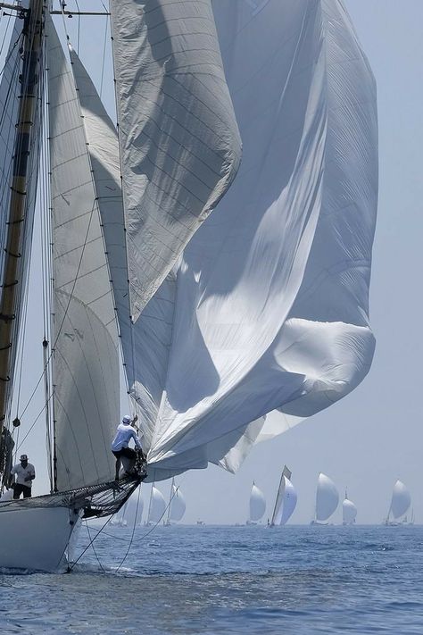 Wind Magic, Sailing Aesthetic, Sailing Photography, Ocean Spirit, Navi A Vela, Wooden Sailboat, Sailing Holidays, Boat Fashion, Boat Art