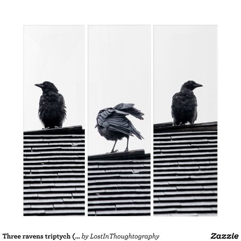 Three ravens triptych (36" x 36") - Wall Art Sets Gift Idea. Tryptich Art, Triptych Art, Posters Wall, Photography Wall, Face Shield, Ravens, Photography Art, Photography Wall Art, Party Hats