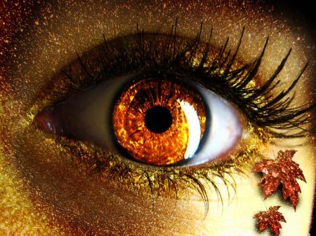 Autumn eye - Other Wallpaper ID 1193285 - Desktop Nexus Abstract Rauch Fotografie, Wow Photo, Fire Eyes, Orange Eyes, Golden Eyes, Look Into My Eyes, Eye Photography, For Your Eyes Only, Lip Service