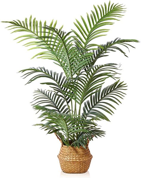 LOMANTO Fake Majesty Palm Plant 4Ft Artificial Plants for Home Decor Indoor Faux Palm Trees in Pot Fake Tropical Plants for Housewarming Gift 1Pack : Amazon.ca: Home Majesty Palm, Fake Palm Tree, Plants For Home Decor, Faux Trees, Amazon List, Tall Plant Stands, Home Decor Coastal, Fake Trees, Plants For Home