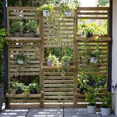 Buy Slatted wall planter - two shelves: Delivery by Crocus Walkway Front Door, Balcony Nook, Front Pergola, Garden Wall Planters, Bin Store Garden, Garden Pergola Ideas, Outdoor Divider, Pond Deck, Pergola Area