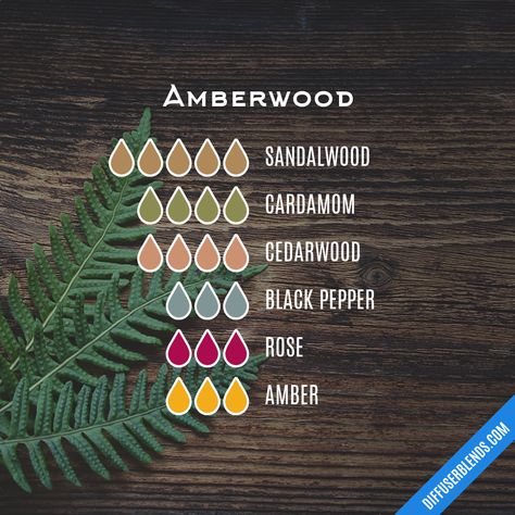 Amber Essential Oil Diffuser Blends, Amber Essential Oil Blends, Fragrance Oil Recipes, Essential Oil Candle Recipes, Emotions And Essential Oils, Essential Oil Combos, Perfume Oil Recipes, Candle Blends, Amber Essential Oil