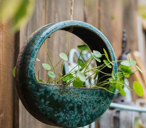 Ceramic Hanging Planter, Rare Houseplants, Ceramic Wall Planters, Ceramics Pottery Bowls, Planter Wall, Handmade Ceramic Planters, Ceramic Wall Hanging, Planter Ceramic, Clay Planters