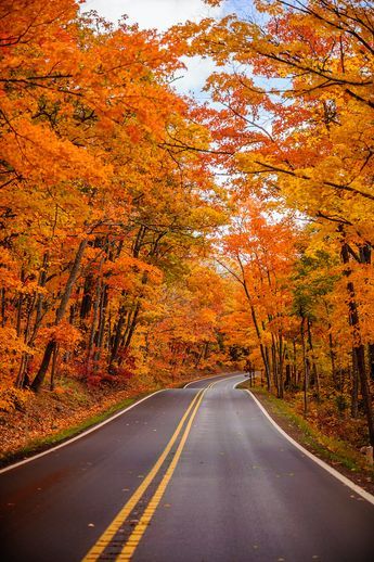 Autumn Landscapes, Fall Backdrops, Copper Harbor, Fall Nature, Autumn Scenes, Autumn Scenery, Autumn Harvest, Fall Pictures, Favorite Season