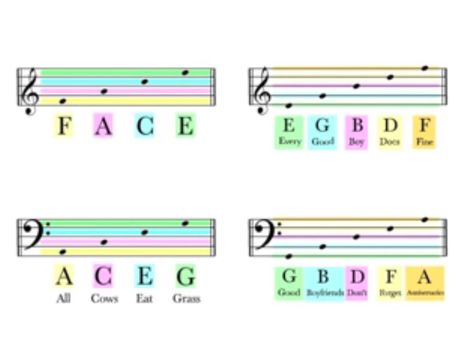 identifying notes on a staff How To Read Notes, Reading Music Notes, Staff Music, Music Notes Drawing, Learn Music Theory, Letter Names, Piano Music Lessons, Preschool Music, Music Worksheets