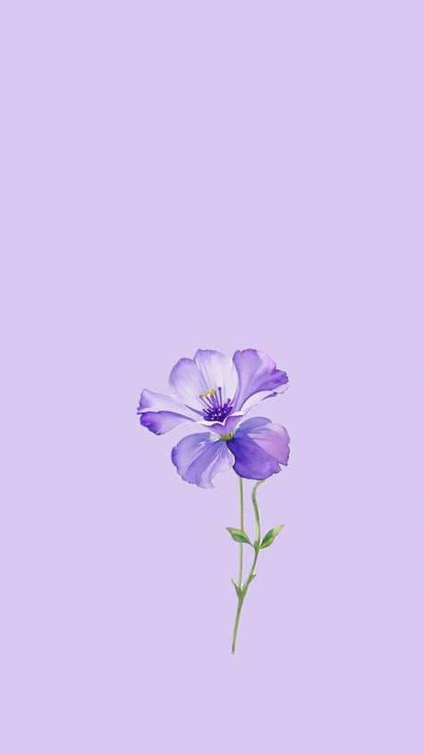 Lilac Wallpaper Flower, Lilac Color Wallpaper, Lilac Widget Aesthetic, Purple Wallpaper Tablet, Light Purple Wallpaper Iphone, Violet Flower Wallpaper, Lavender Aesthetic Flower, Lila Aesthetic, Light Purple Wallpaper