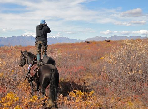 Alaska Hunting, Alaska Salmon Fishing, Women Hunting, Moose Hunting, Hunting Stuff, Indian Wars, Alaska Fishing, Horse Camp, Big Game Hunting