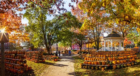 Featured Photographer: Jeffrey Newcomer - Keene Pumpkin Festival in Keene, NH / viaYankee Magazine Halloween Land, Welcome Great Pumpkin, Eric Sloane, Salem Trip, Vermont Fall, Pumpkin Festival, Central Square, George Eliot, New England Travel