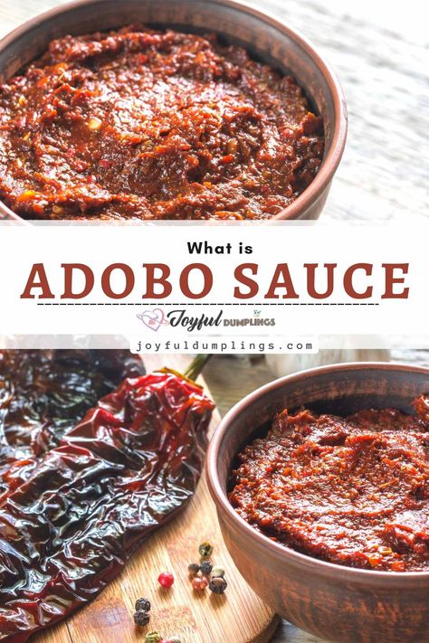 adobo sauce Chipotle Pepper Recipes, Bri Recipes, Chili Pepper Sauce, Homemade Bbq Sauce Recipe, Mexican Chili, Dried Chili Peppers, Mexican Sauce, Cajun Creole Recipes, Mexican Dish