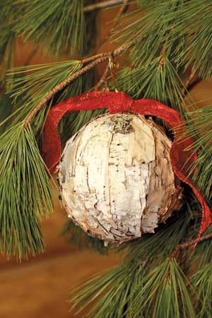 Birch Projects, Birch Bark Decor, Birch Wood Crafts, Bark Idea, Bark Crafts, Birch Bark Crafts, Birch Craft, Cabin Christmas, Cabin Living