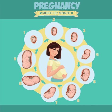 Pregnancy Month By Month, Pregnancy Month, Pregnancy Week, Gestational Age, Pregnancy Months, Story Telling, Pregnancy Week By Week, Quick Saves