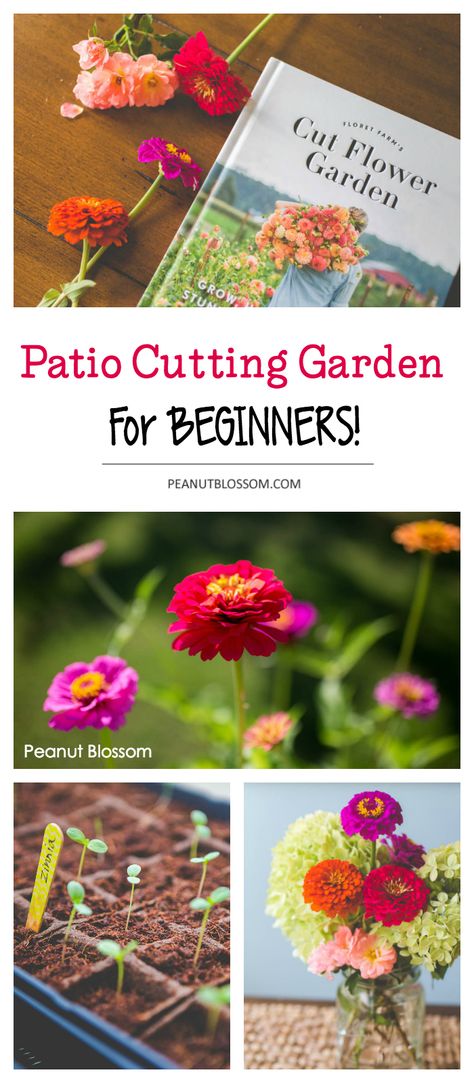 Flower Garden For Beginners, Indoor Gardening Supplies, Garden For Beginners, Patio Container Gardening, Tattoo Plant, Backyard Garden Diy, Aesthetic Header, Cut Flower Garden, Small Space Gardening