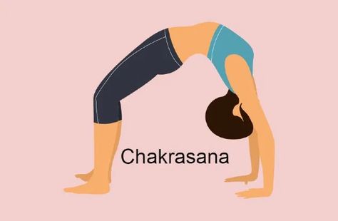 Hralth Care - Health care Yogaasana and Beauty tips Chakrasana Pose, Chakra Asana, Yoga Pose, Neck Pain, Blood Flow, How To Do Yoga, Anime Scenery, The Body, Yoga Poses