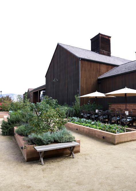 Turnbull Winery Sonoma | Craftandcocktails.co Home Vineyard, Winery Landscaping, Wine Yard, Shed Homes, Vegetable Garden Design, A Barn, Veggie Garden, Farm Gardens, Outdoor Design