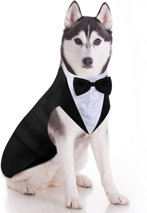 dog and human halloween costumes | Dog Tuxedo and Bandana Set | gentleman dress for male dogs | small dog halloween costumes | dog halloween | dog halloween costumes for kids | Dog Wedding Bandana, Formal Dog, Popular Costumes, Dog Tuxedo, Bow Tie Shirt, Wedding Bow Tie, Formal Tuxedo, Dog Suit, Wedding Pets