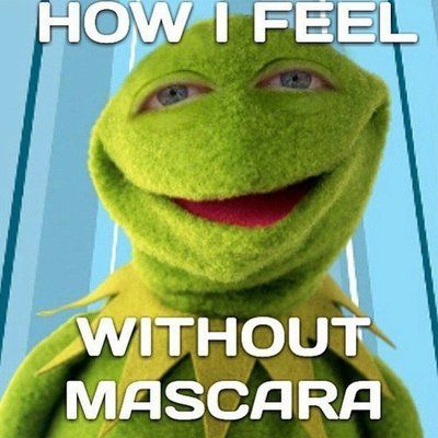 23 Hilarious Memes That Sum Up All Our Feelings About Beauty Hilarious Memes Truths, Mascara Memes Funny, Weird Beauty, That's Hilarious, Makeup Memes, Kermit The Frog, It's Funny, Hilarious Memes, Memes Humor