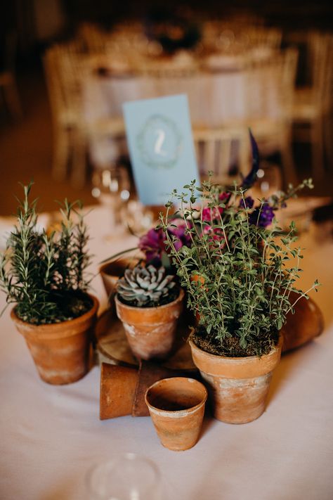 Hornington Manor Wedding Pretty Floral Fun & Hot Summery Potted Plant Centerpieces, Herb Centerpieces, Treehouse Wedding, Herb Wedding, Plant Centerpieces, Wedding Plants, Rustic Wedding Flowers, Succulent Wedding, Wedding Centerpieces Diy