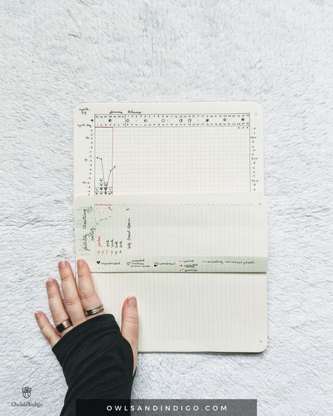 Fertility Awareness Method Chart, Hormone Tracker, Basal Body Temperature Chart, Minimalist Bujo, Fertility Chart, Menstrual Cycle Tracker, Natural Birth Control, Fertility Tracking, Fertility Awareness Method