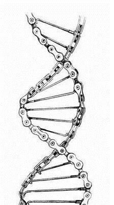 Bike chain dna Cycling Tattoo, Cycle Chain, Wing Tattoo Men, Truck Tattoo, Dna Tattoo, Bicycle Tattoo, Chain Tattoo, Motorcycle Tattoos, Bike Tattoos