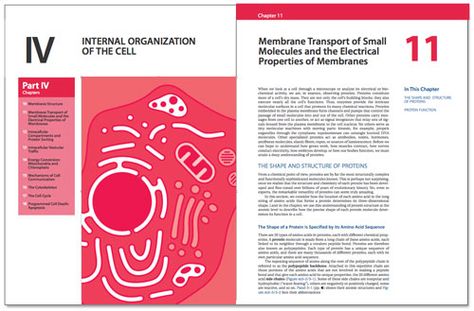 Textbook Page Layout, Textbook Page Design, Textbook Layout Design, Textbook Layout, Cover Page Layout, Design Page Layout, Textbook Design, Textbook Cover, Biology Book