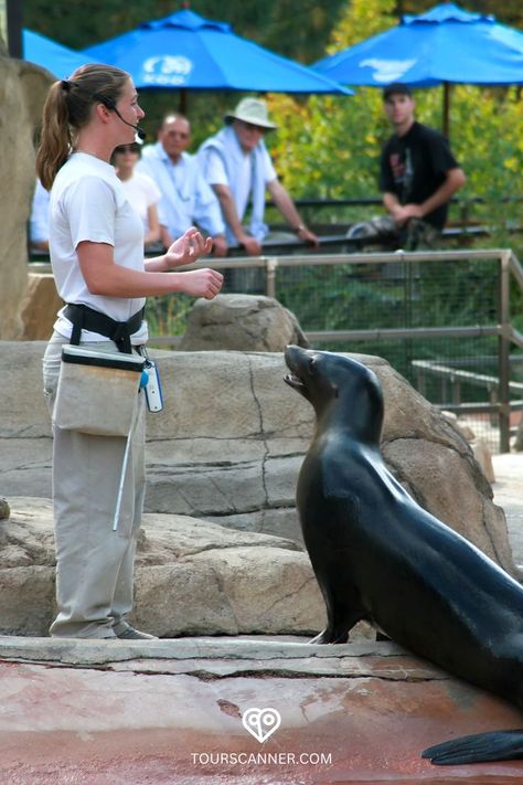 Immerse yourself in the vibrant spirit of Denver with our comprehensive guide to the best Things to Do! 🌇 From exploring iconic landmarks to connecting with wildlife at Denver Zoo, our itinerary promises an unforgettable experience. Ready to embark on an adventure? Dive into our blog for an in-depth look at the top attractions, including a special day at Denver Zoo! 👉🔗 #ThingsToDoInDenver #DenverAdventures #ExploreDenver #DenverTravel #DenverZoo Red Rocks Amphitheater, Things To Do In Denver, Denver Zoo, Denver Travel, Visit Denver, Red Rock Amphitheatre, Denver Art Museum, Denver Art, Art Museums