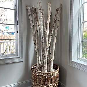 Amazon.com: Wilson White Birch Pole Pack (X-Large) Set of Birch Poles 1.5-2.5 inch Diameter x 6, 7, and 8 feet Tall Wood Stick Decor, Rustic Curtain Rods, Log Decor, Floral Arches, Wedding Arbors, Birch Logs, Frames Wall, Wall Displays, Birch Branches