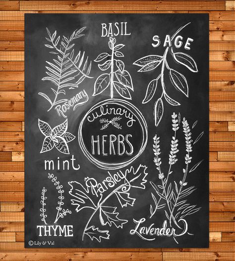 . Chalkboard Art Print, Herbs Illustration, Lily And Val, Kitchen Chalkboard, Driven By Decor, Chalkboard Print, Chalkboard Lettering, Chalk Lettering, Chalkboard Designs