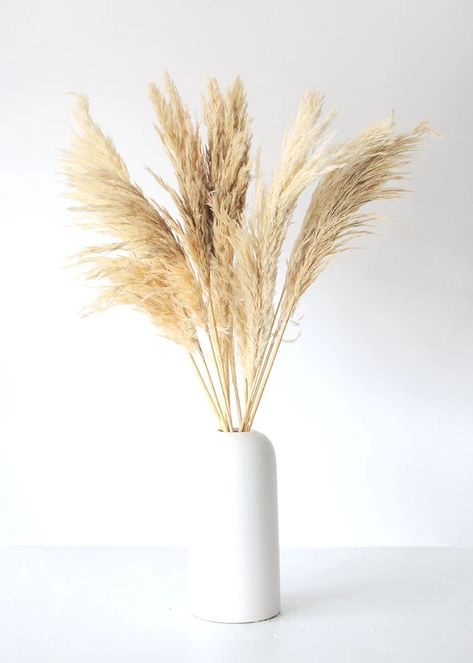 Smooth Pampas Grass in Tan | Shop Dried Grasses at Afloral.com Floor Vase Arrangement, Floor Vase Decor, Arreglos Ikebana, Boho Styl, Pampas Grass Decor, Silk Flowers Wedding, Wedding Flower Decorations, Vase Arrangements, Boho Home Decor