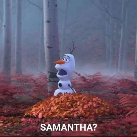 Frozen 2 ❄ on Twitter: "Olaf: Anna? Elsa? Sven? Kristoff? Samantha? HAHAHA I don't even know who's Samantha.… " Olaf Funny, Frozen Memes, Disney Princess Memes, Disney Olaf, Frozen Wallpaper, Disney Frozen Olaf, Funny Disney Memes, Funny Disney Jokes, Disney Phone Wallpaper