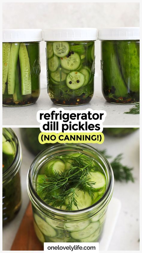 You won't believe how easy it is to make refrigerator dill pickles at home. No fancy equipment or special skills required! (These homemade pickles also naturally Paleo, Whole30, Gluten-Free) This easy dill pickles recipe is perfect for sandwiches, burgers, and snacking. Get the recipe for the best refrigerator pickles and more summer recipes to try at One Lovely Life Refrigerator Dill Pickles, Freezing Recipes, Refrigerator Pickles Dill, Homemade Pickles Dill, Pickle Vodka, Pickled Cucumbers, Canning Pickles, Coconut Dessert, Side Items