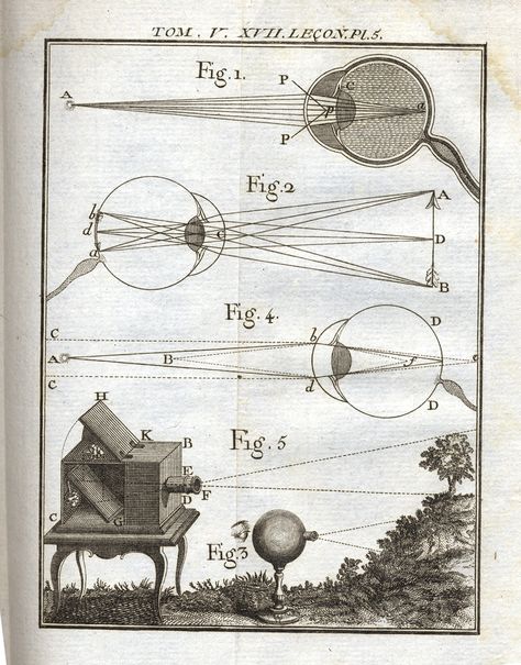 This illustration shows the behaviour of light entering a dark room and the usage of prisms and lenses. Science Chart, Science History, A Dark Room, Antique Photography, Pinhole Camera, Magic Lantern, Camera Obscura, Arm Band Tattoo, Horror Themes