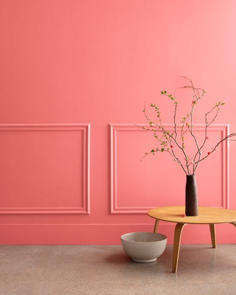 A satisfying coral hue that captures the vibrant beauty of a cottage garden. Benjamin Moore Pink, Coral Paint Colors, Paint Color Swatches, Pink Paint Colors, Coral Walls, Benjamin Moore Colors, Benjamin Moore Paint, Pink Paint, Hydrangea Flower