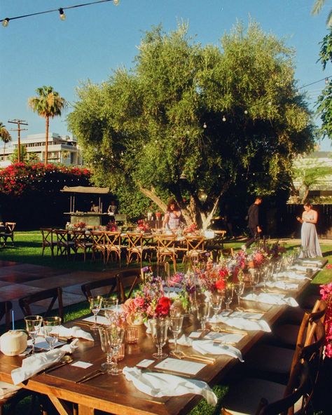 Ileana + Jethro at Casa Cody in Palm Springs, celebrating their wedding with their loved ones beneath the palms. Nestled amid the historic Spanish casitas of Casa Cody, they said “I do” in the summer desert heat. Truly a breathtaking wedding in every regard - it was an honor capturing their love in full color 🥰 As always, all film 🎞️ xoxo, Taylor 💋 Summer Desert, Ojai Wedding, Parker Palm Springs, Palm Springs Wedding, Breathtaking Wedding, The Palms, They Said, Palm Springs, Springs