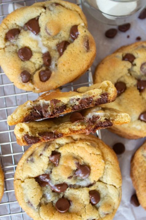 Chocolate Chip Marshmallow Cookies - Taffey Bakery Bakery Peanut Butter Cookies, Chocolate Chip Marshmallow, Chocolate Chip Marshmallow Cookies, Gooey Chocolate Chip Cookies, Marshmallow Cookies, Chocolate Peanut Butter Cookies, Chewy Chocolate Chip, Fudge Sauce, Chocolate Pecan