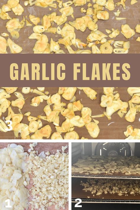 How to make garlic powder and garlic flakes at home with one of three methods (dehydrator, oven, or air drying). This DIY is a 2-in-1, as garlic flakes are what we use to create garlic powder. The resulting dried garlic can be used in tons of ways to flavor and garnish food! Fresh Garlic Recipes, Drying Onions, Drying Garlic, Pagan Food, Multigrain Bread Recipe, Flake Recipes, Dehydrating Food Storage, Dried Garlic, Garlic Uses