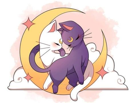 Serena Sailor Moon, Sailor Moon Cat, Moon Cat, Moon Wallpaper, Sailor Moon Wallpaper, Sailor Moon Art, Moon Art, Sailor Moon, The Moon