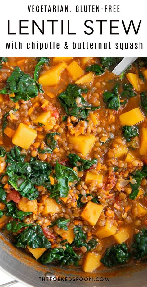 Lentils Butternut Squash, Butternut Squash Lentil Soup, Stew With Butternut Squash, Green Lentil Recipes, Lentil Stew Recipes, Grains Recipes, Veggie Meal, Chopped Veggies, Veggie Casserole