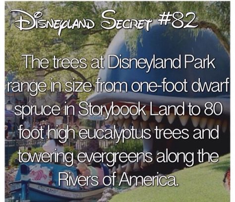 Disney Disneyland Facts, Disney World Facts, Disney Trip Surprise, Disney Surprise, Disneyland Secrets, Disney Secrets, Disney Theory, Disneyland Tips, Disney Fun Facts